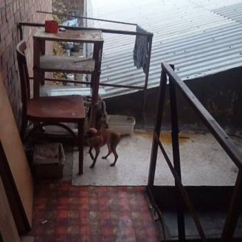 Сдается 1-комнатная квартира, 20 м²