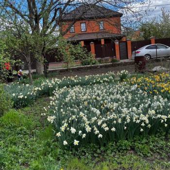 Продается Участок, 500 м²