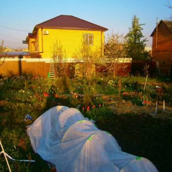 Продается Участок, 1000 м²