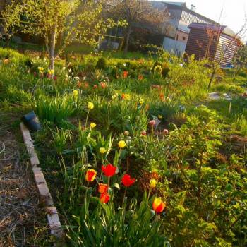 Продается Участок, 1000 м²