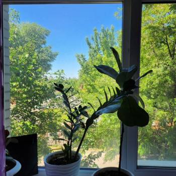 Продается 1-комнатная квартира, 44,3 м²