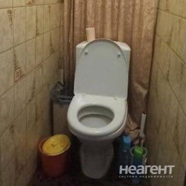 Фотография №3