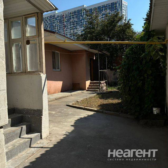 Фотография №2