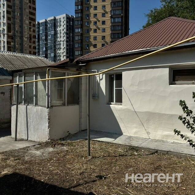 Фотография №3