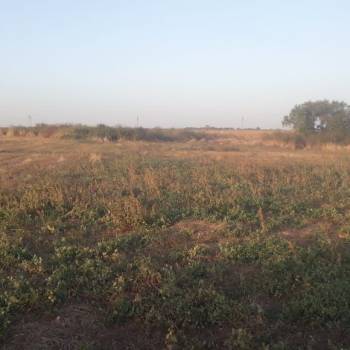 Продается Участок, 8005 м²