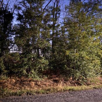 Продается Участок, 500 м²