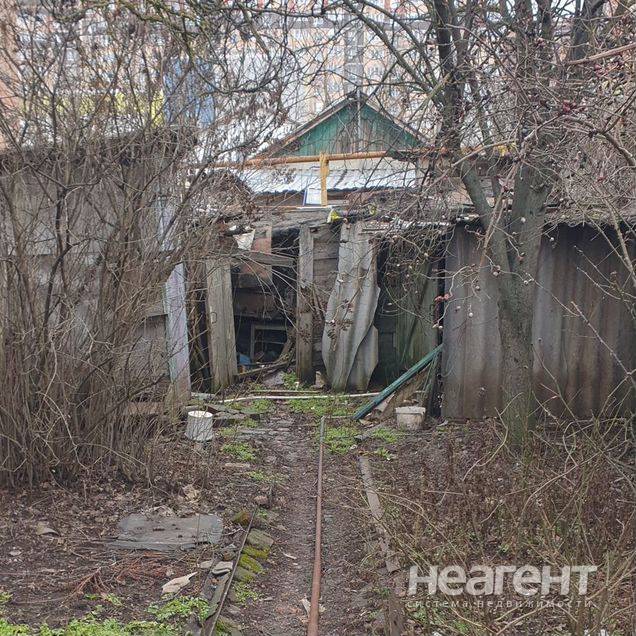 Фотография №2