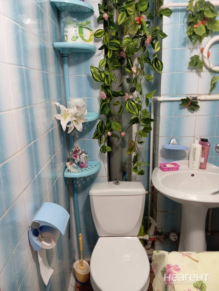 Фотография №3