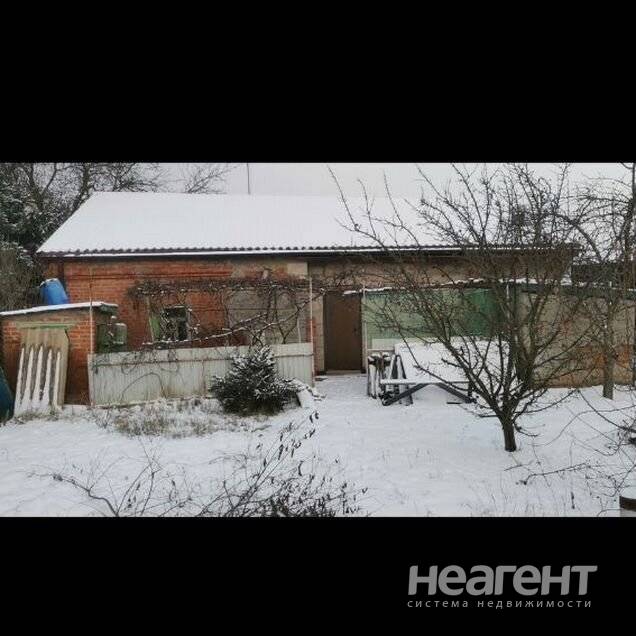 Фотография №3