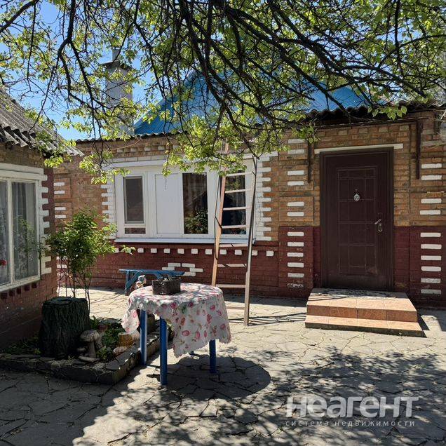 Фотография №2