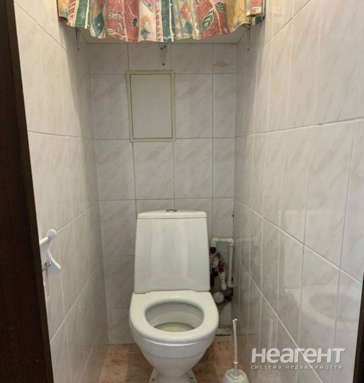 Фотография №2