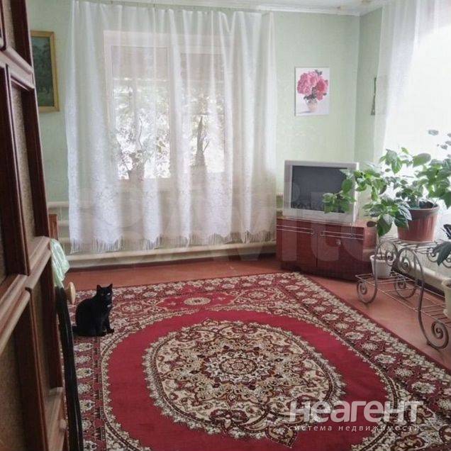 Фотография №2