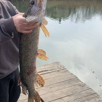 Продается Дом, 200 м²