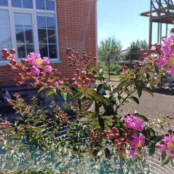 Продается Дом, 147 м²