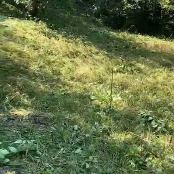 Продается Участок, 510 м²