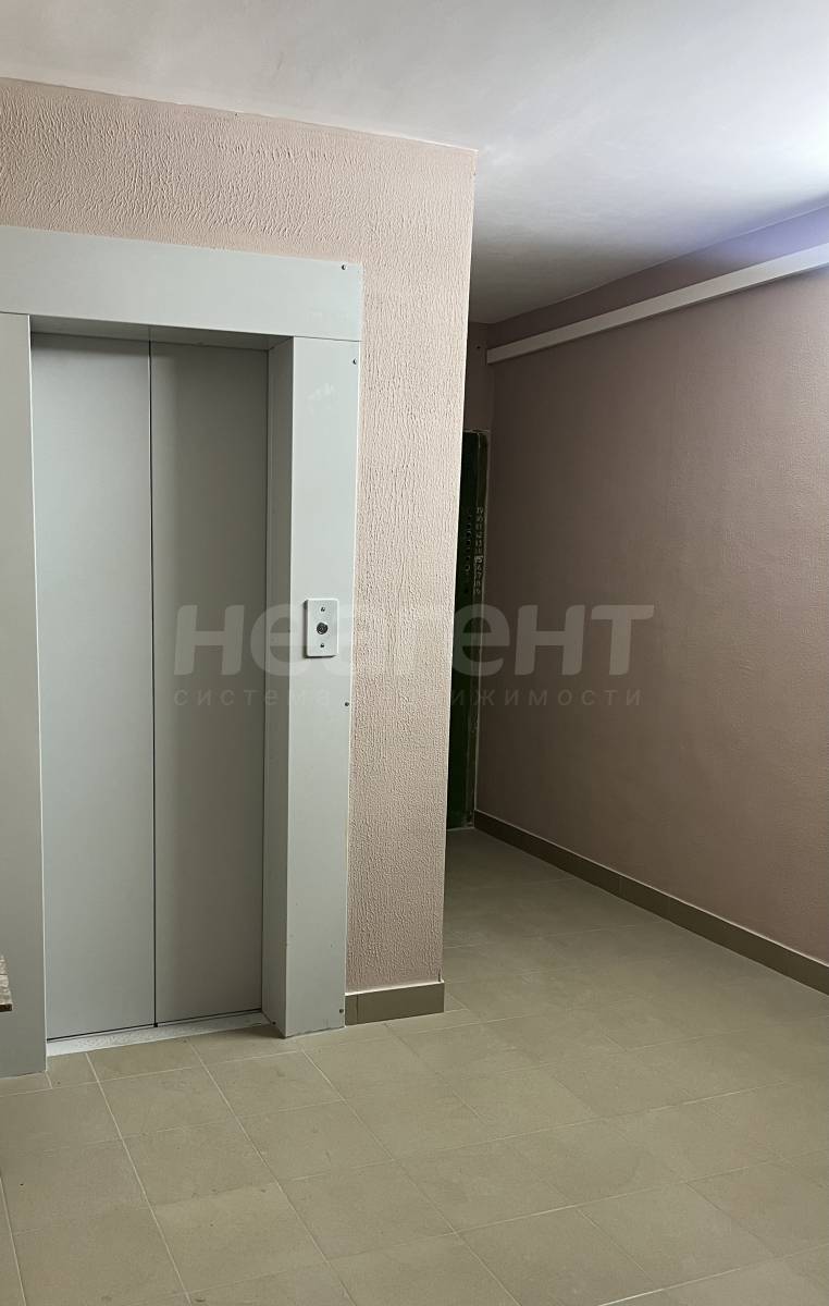 Фотография №19