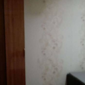 Сдается 2-х комнатная квартира, 48 м²