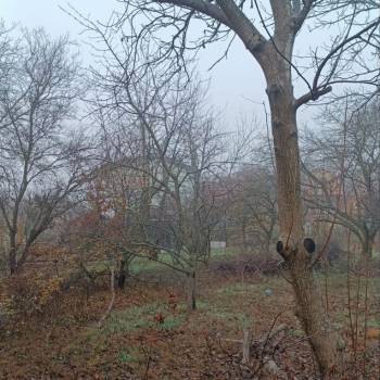 Продается Участок, 500 м²