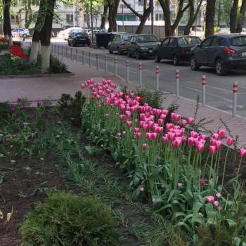 Сдается Многокомнатная квартира, 68 м²