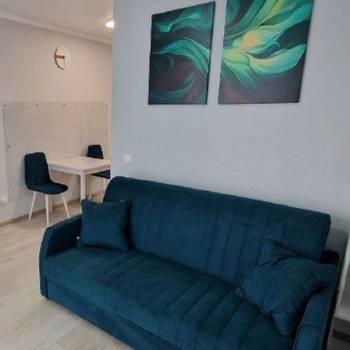 Сдается 1-комнатная квартира, 24,9 м²