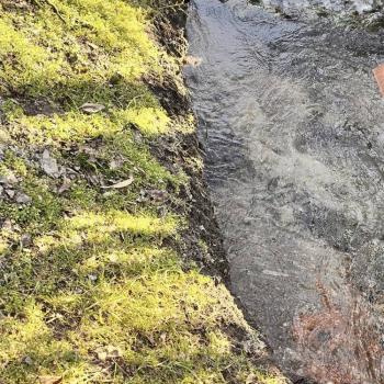 Продается Участок, 600 м²