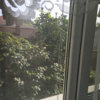 Сдается Комната, 17 м²