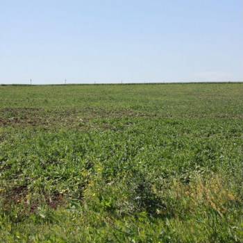 Продается Участок, 80000 м²