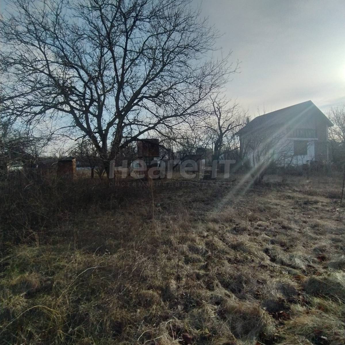 Фотография №2