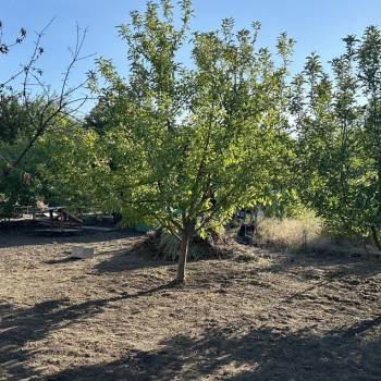 Продается Участок, 510 м²