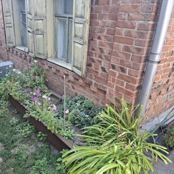 Сдается Дом, 41 м²