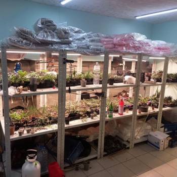 Продается Нежилое помещение, 263,1 м²