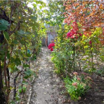 Продается Дом, 55 м²