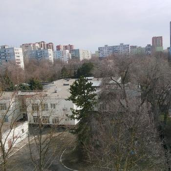 Сдается 2-х комнатная квартира, 50 м²