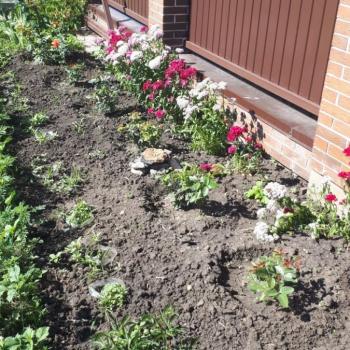 Продается Участок, 500 м²