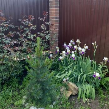 Продается Участок, 500 м²