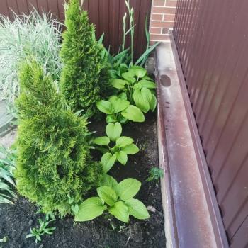 Продается Участок, 500 м²