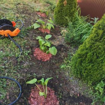 Продается Участок, 500 м²