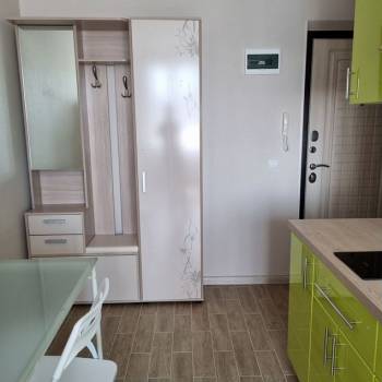 Сдается 1-комнатная квартира, 26,7 м²