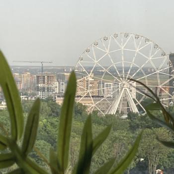 Сдается 1-комнатная квартира, 26,3 м²