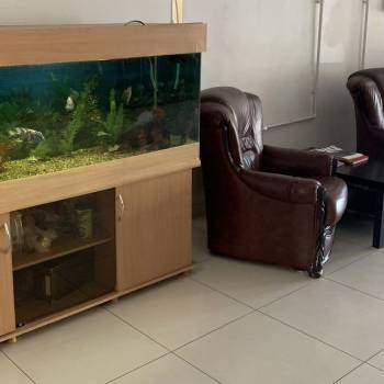 Сдается Нежилое помещение, 25 м²