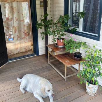 Продается Дом, 61 м²