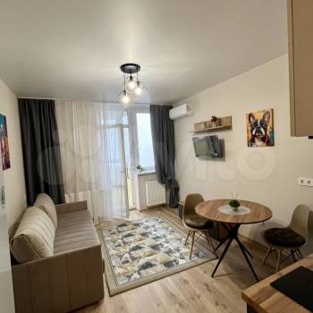 Сдается 1-комнатная квартира, 24,4 м²