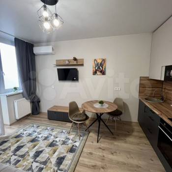 Сдается 1-комнатная квартира, 24,4 м²