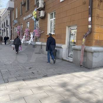 Сдается Нежилое помещение, 75 м²