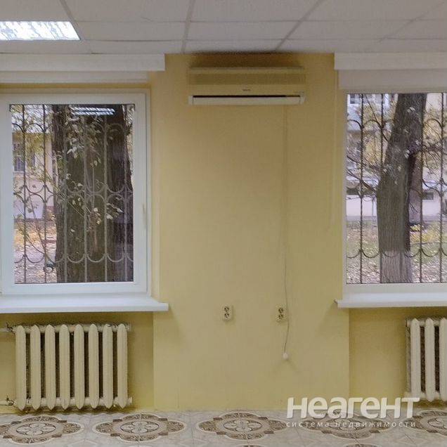 Фотография №3