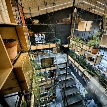 Сдается Нежилое помещение, 300 м²