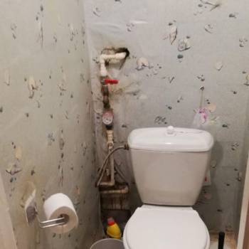 Сдается Многокомнатная квартира, 55 м²