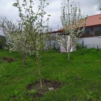 Продается Участок, 950 м²