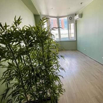 Сдается Офис, 20 м²