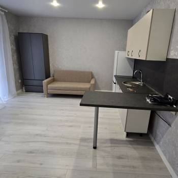 Сдается 1-комнатная квартира, 30,9 м²